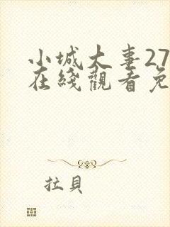 小城大事27集在线观看免费