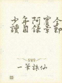 少年阿宾全文阅读目录章节第一章房东太太封面