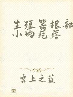 生殖器根部有个小肉疙瘩