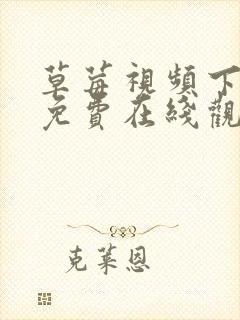 草莓视频下载污免费在线观看