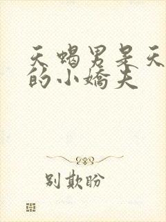 天蝎男是天秤女的小娇夫封面