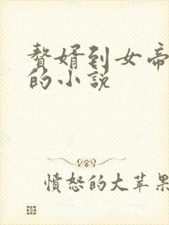 赘婿到女帝宠臣的小说