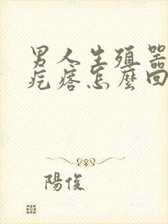 男人生殖器上有疙瘩怎么回事