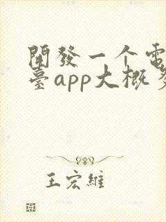 开发一个电商平台app大概多少钱