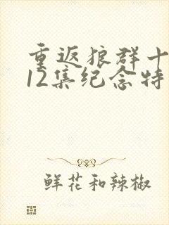 重返狼群十周年12集纪念特别版