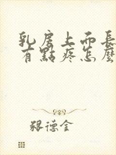 乳房上面长疙瘩有点疼怎么回事