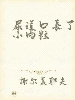 尿道口长了一排小肉粒