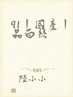 91丨国产丨精品白丝封面