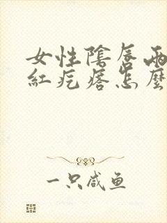 女性阴唇两边是红疙瘩怎么回事