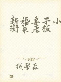 新婚妻子小说芷珊菜老板封面