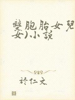 双胞胎女儿(父女)小说封面