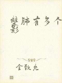 双肺有多个结节影