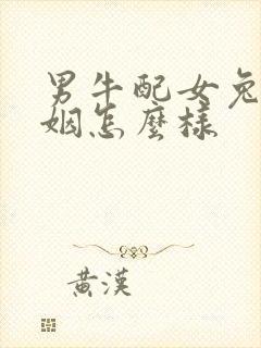 男牛配女兔的婚姻怎么样封面