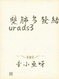 双肺多发结节lurads3封面