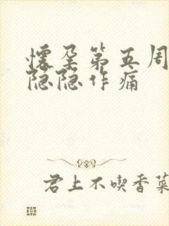 怀孕第五周肚子隐隐作痛