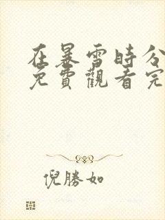 在暴雪时分在线免费观看完整版封面