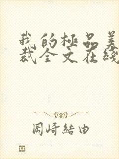 我的极品美女总裁全文在线阅读