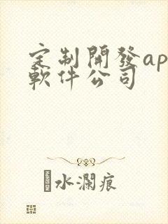 定制开发app软件公司