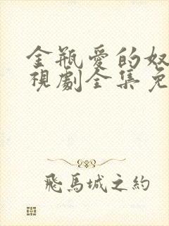 金瓶爱的奴隶电视剧全集免费观看