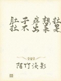 肚子疼想拉屎又拉不出来是什么原因