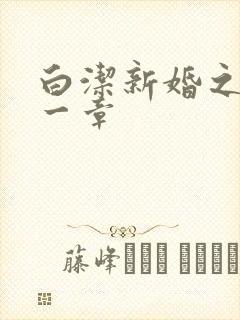 白洁新婚之夜第一章