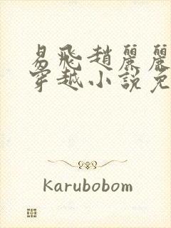 易飞赵丽丽小说穿越小说免费阅读