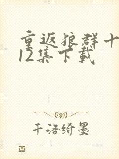 重返狼群十周年12集下载