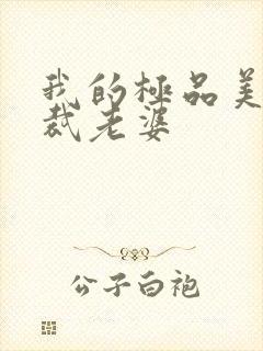 我的极品美女总裁老婆