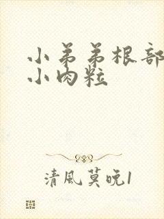 小弟弟根部有个小肉粒