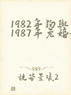 1982年狗与1987年兔婚姻表