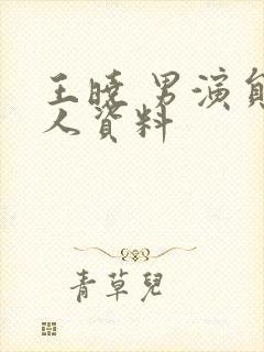 王晓 男演员个人资料