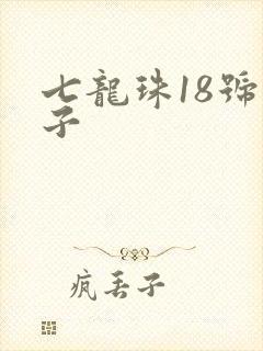 七龙珠18号本子