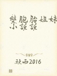 双胞胎姐妹许多小说说