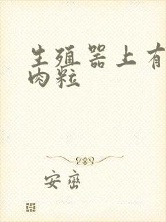 生殖器上有一硬肉粒