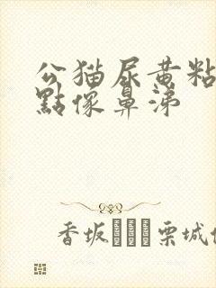 公猫尿黄粘稠有点像鼻涕