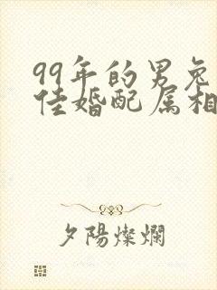 99年的男兔最佳婚配属相封面