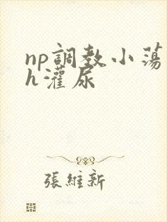 np调教小荡货h灌尿