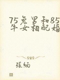 75兔男和85牛女相配婚姻如何封面