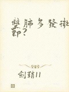 双肺多发微小结节?