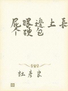 屁眼边上长了一个硬包封面