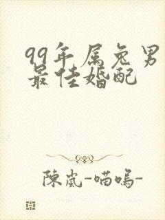 99年属兔男的最佳婚配封面