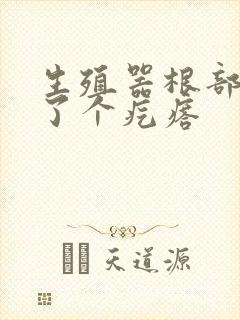 生殖器根部上长了个疙瘩