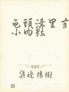 龟头沟里有一圈小肉粒封面