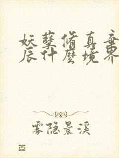 妖孽修真弃少叶辰什么境界