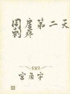 同房第二天小腹刺疼