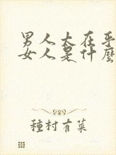 男人太在乎一个女人是什么表现