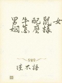 男牛配鼠女的婚姻怎么样