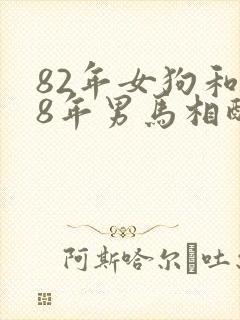 82年女狗和78年男马相配婚姻如何