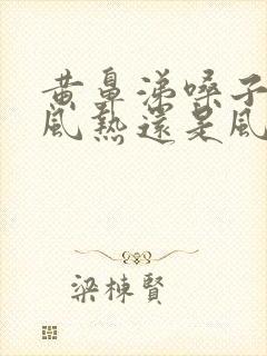 黄鼻涕嗓子疼是风热还是风寒封面