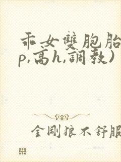 乖女双胞胎(3p,高h,调教)